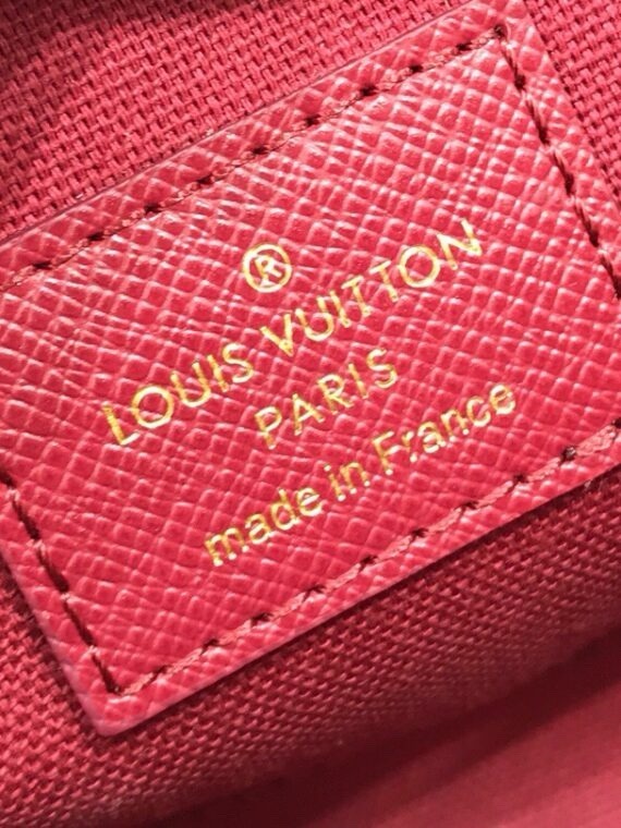 Pochette Félicie Monogram Bag in brown and tan