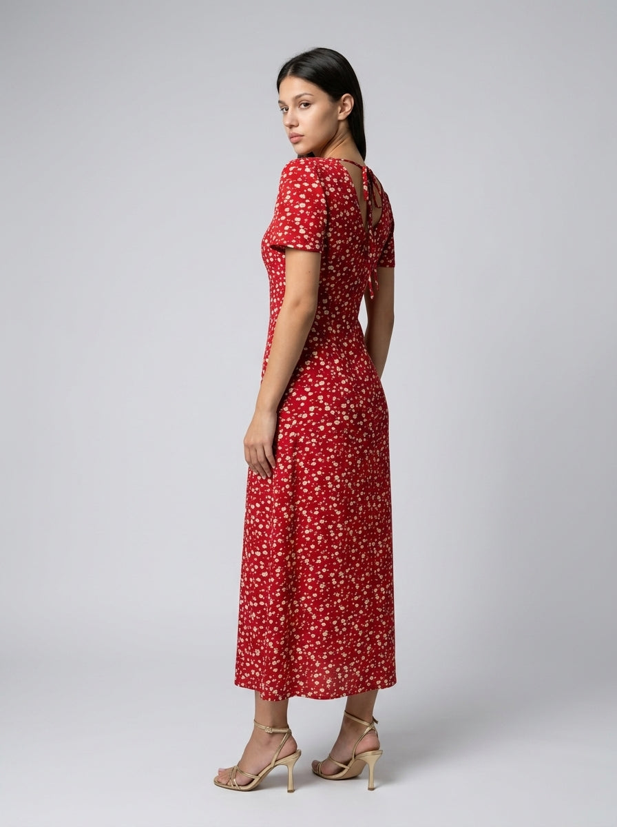 Liora Floral V Neck Short Sleeve Maxi Dress in Red