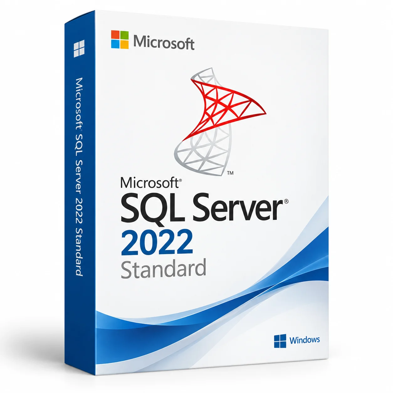 Microsoft SQL Server 2022 Standard - Database Software — product image